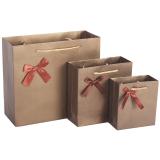 Paper Gift Bag